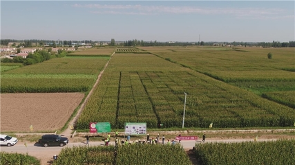 &ldquo;內(nèi)蒙古巴彥淖爾市科河種業(yè)&rdquo;入圍《信用中國》欄目