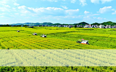 立法為加快廣東種業(yè)發(fā)展保駕護(hù)航