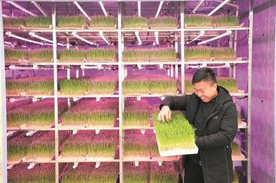 兵團(tuán)日?qǐng)?bào)