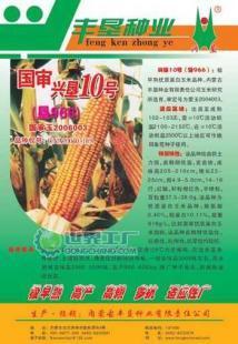興墾10號(hào)玉米種子 產(chǎn)品信息與廠家供應(yīng)詳情