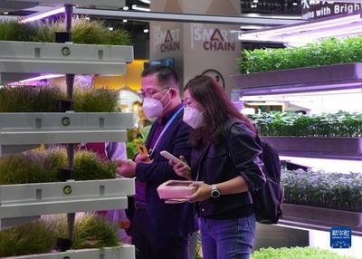 進博會上的農業(yè)革命 集裝箱里種菜看種業(yè)創(chuàng)新