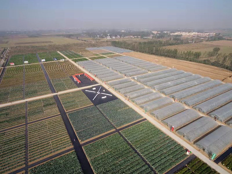 種業(yè)小鎮(zhèn)賦能農業(yè)強'芯'，構筑現(xiàn)代農業(yè)新引擎